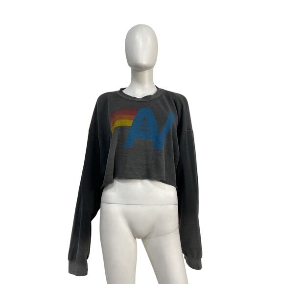 Aviator Nation Vintage Logo Grey Cropped Crew Sweatshirt Size L - Picture 2 of 5